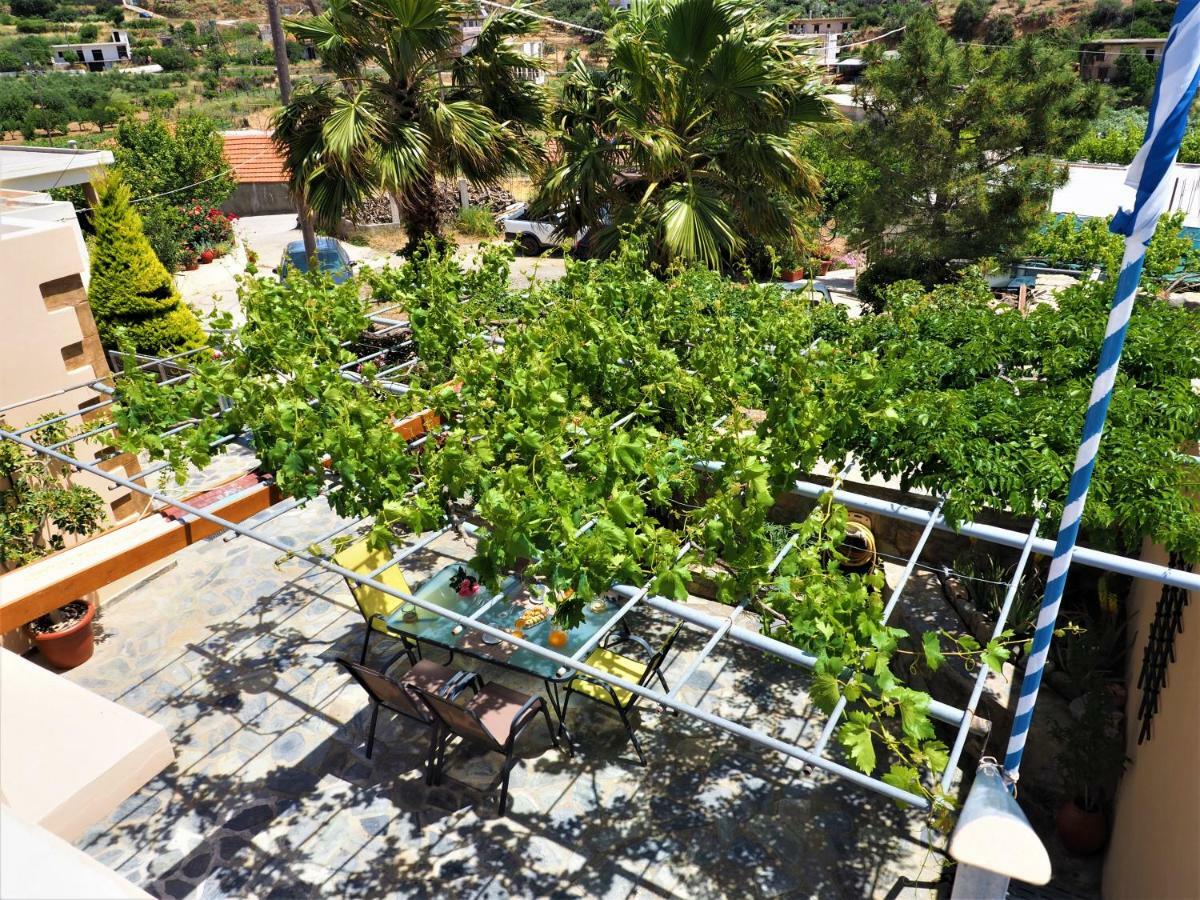 Traditional Cretan Villa Rodhopos Экстерьер фото