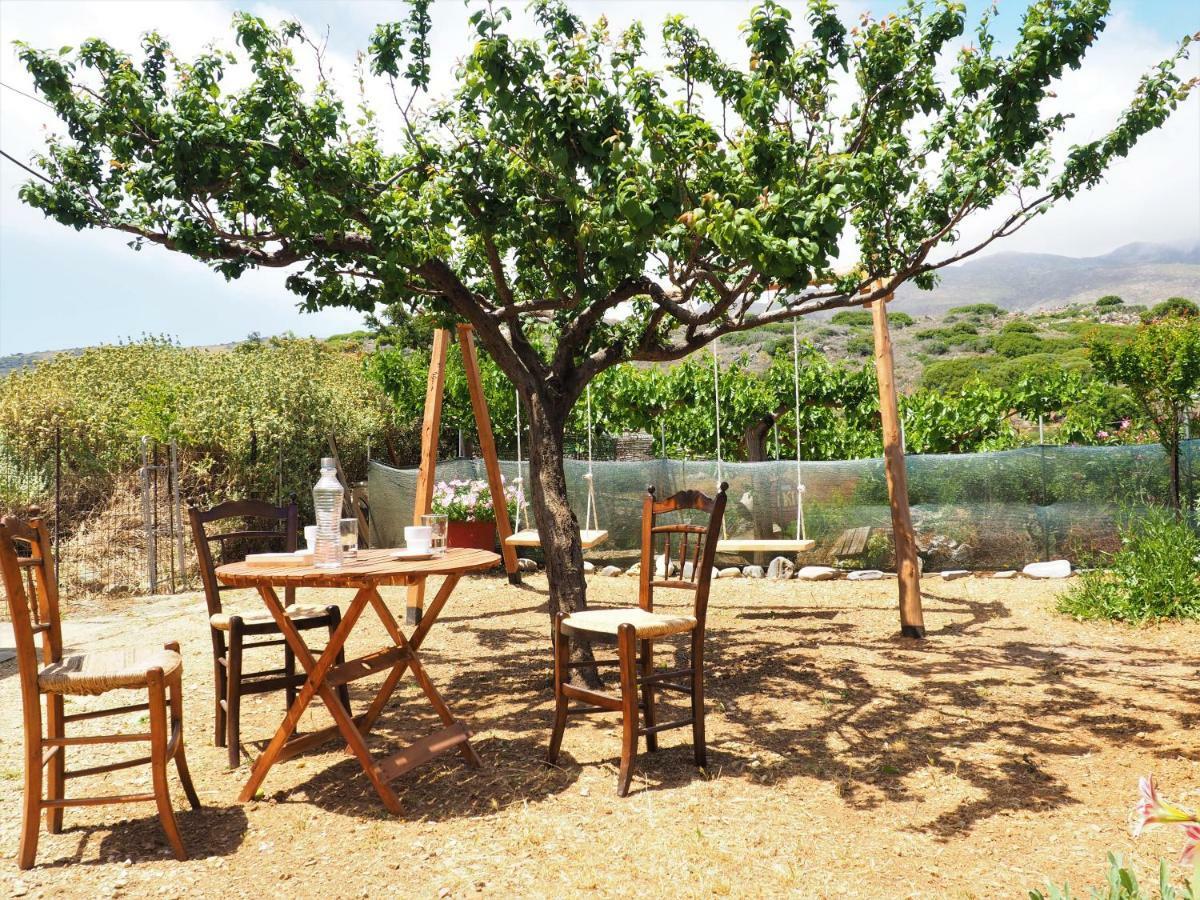 Traditional Cretan Villa Rodhopos Экстерьер фото