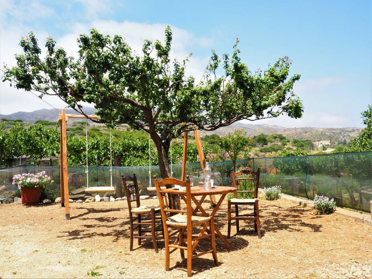 Traditional Cretan Villa Rodhopos Экстерьер фото